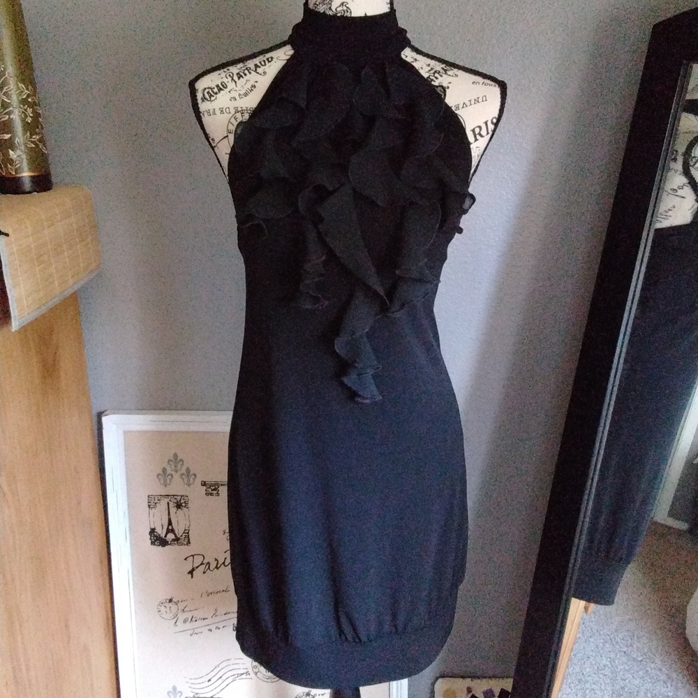 Sweet Storm Dress 👗 EUC